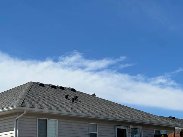 Best Roof Insulation Installation  in Wilkes Barre, PA